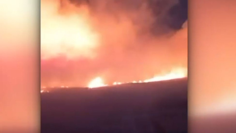VIDEO „Perete” de foc pe DN 56, la Maglavit. Traficul in zona a fost oprit din cauza incendiului urias de vegetatie Imagine