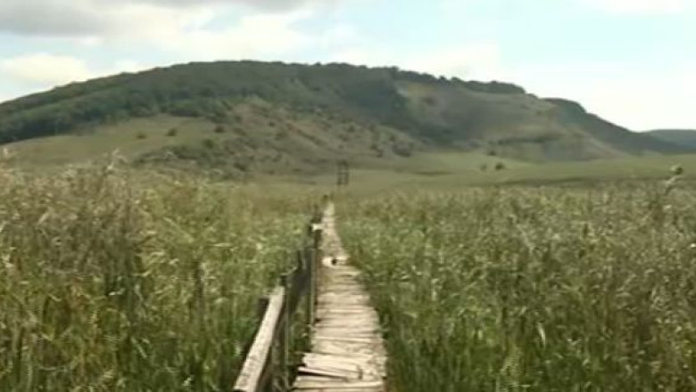 VIDEO. Plimbari de vis prin Delta Clujului Imagine