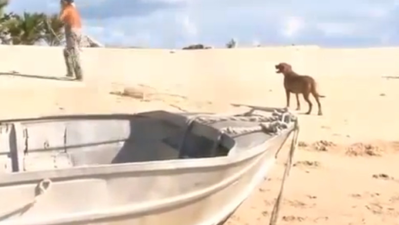 VIDEO. Povestea unui Robinson Crusoe modern. Un fost milionar traieste pe o insula pustie din Australia Imagine