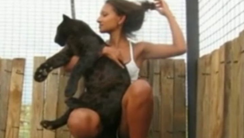 VIDEO. Prietenia dintre pantera si om Imagine