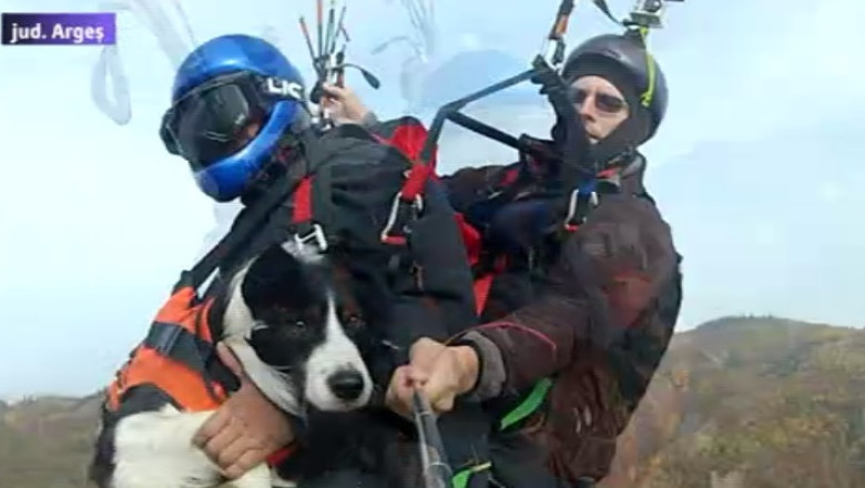 VIDEO. Primul catel din Romania care a zburat cu parapanta, angajat la Salvamont Imagine