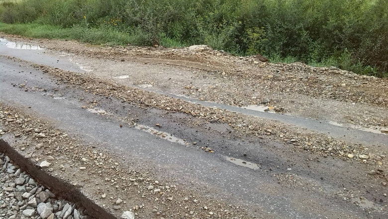 VIDEO. Protest pe drumul national cu cont pe Facebook din cauza gropilor si a buruienilor de un metru  Imagine