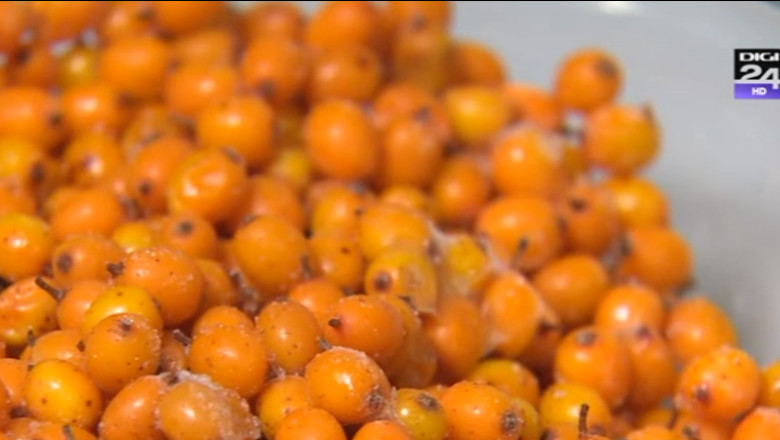 VIDEO. Retete si sfaturi pentru intarirea imunitatii Imagine