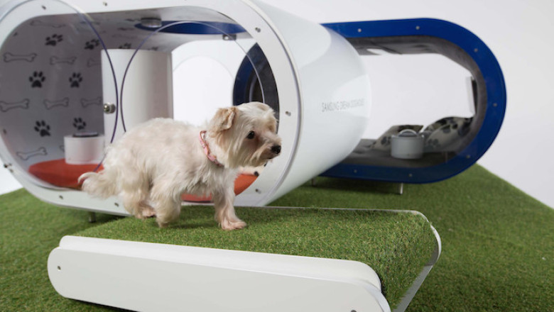 VIDEO. Samsung a creat casa inteligenta pentru caini Imagine