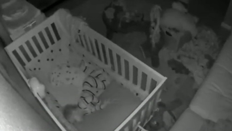 VIDEO. Somnul unui bebelus in timpul unui cutremur Imagine