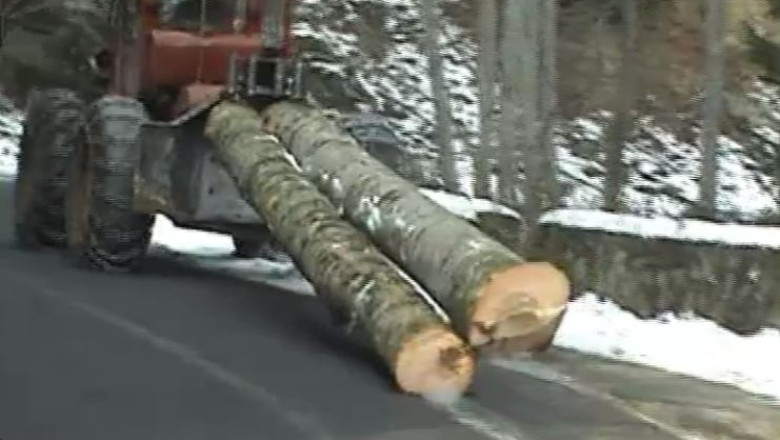VIDEO. Transfagarasanul, distrus de taietorii de lemne Imagine