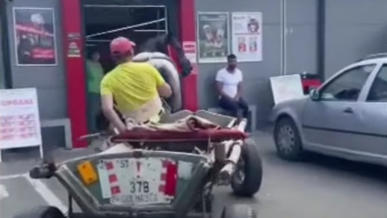 VIDEO. Un agent de paza a intrat cu calul si caruta in magazinul unde lucra Imagine