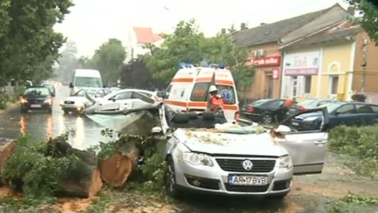 VIDEO. Un barbat din Arad a murit dupa ce un copac s-a prabusit peste masina pe care o conducea. Vremea rea se muta in nord-est Imagine