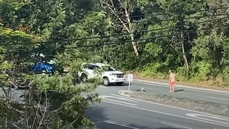 VIDEO. Un barbat din Australia a oprit traficul pe o sosea aglomerata pentru ca un koala sa poata traversa in siguranta Imagine