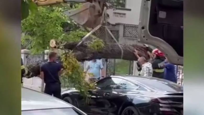 VIDEO. Un BMW avariat de un arbore cazut, distrus mai rau de echipele de interventie Imagine
