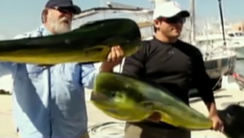 VIDEO. Un leu de mare fura trofeul unui pescar Imagine