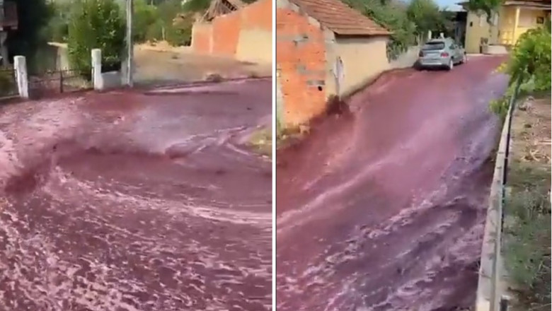 VIDEO Un sat din Portugalia a fost inundat de vin rosu. Cum s-a intamplat Imagine