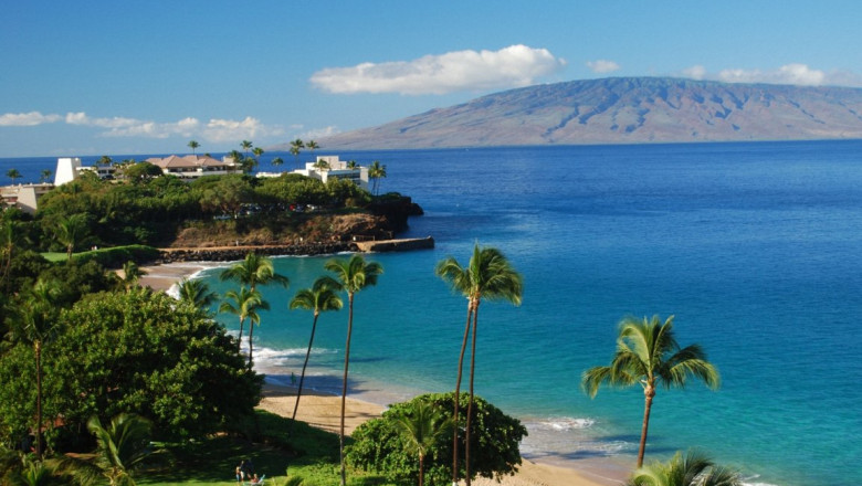 VIDEO. Vacanta de vis in Hawai Imagine