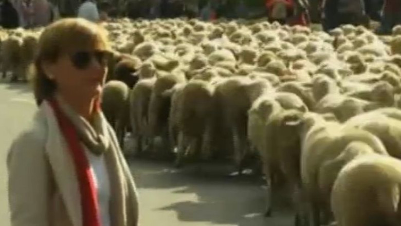 VIDEO. Ziua transhumantei, la Madrid Imagine