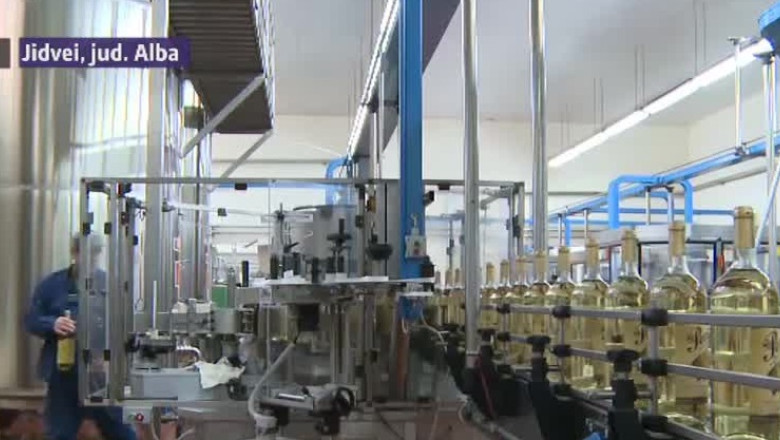 Vin de pe Tarnave, pe mesele strainilor Imagine