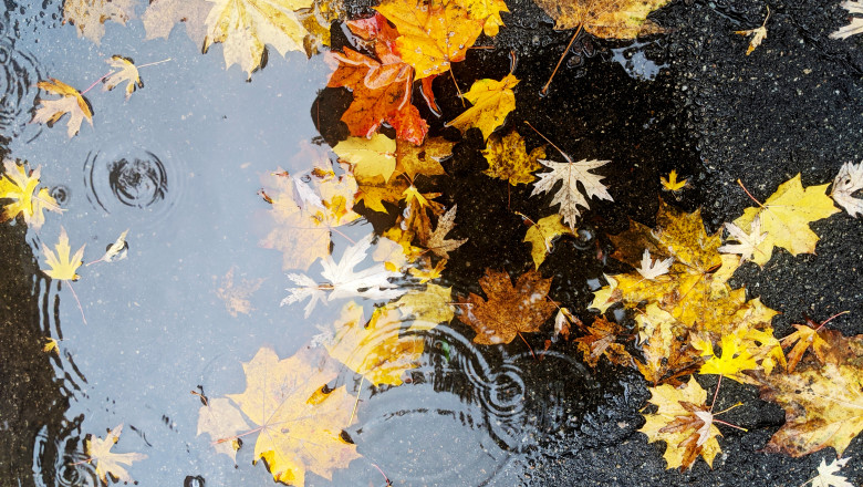 Vin ploile in mare parte din tara. Prognoza meteo pana la finalul lunii noiembrie Imagine