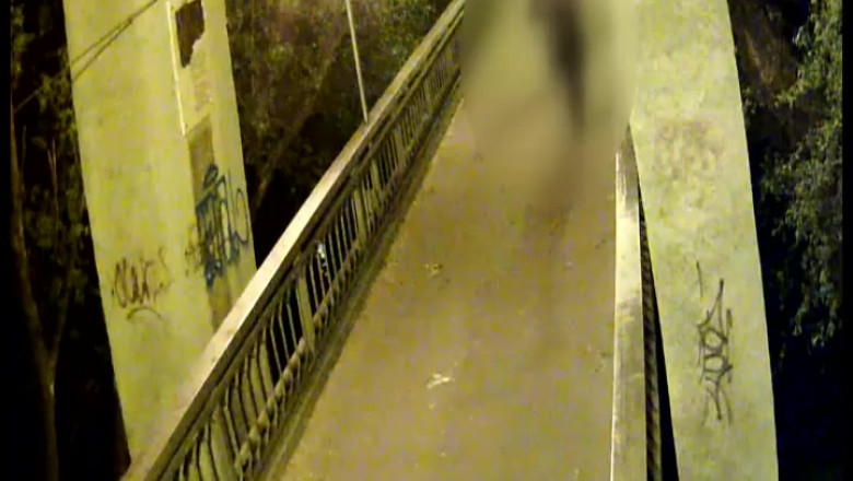 Violator recidivist, atac dupa eliberare Imagine