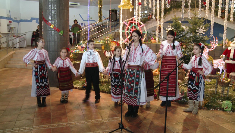 Vis de iarna, la Gradina Botanica Imagine