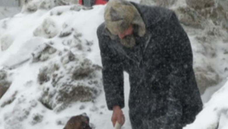 Viscolul, prin ochii diplomatilor. Ambasadorul Olandei a postat pe Twitter fotografii cu zapada din Bucuresti Imagine