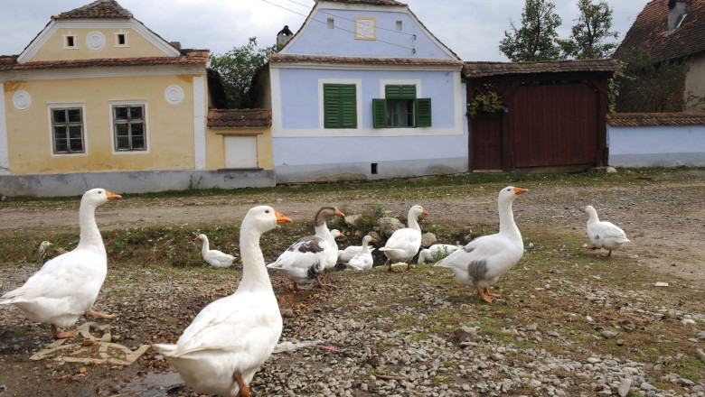 Viscri, satul unde turistii sunt de 30 de ori mai multi decat localnicii Imagine