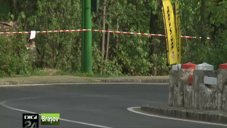 Viteza la Teliu Imagine