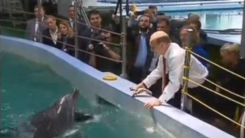 Vladimir Putin a hranit delfinii de la un parc acvatic Imagine