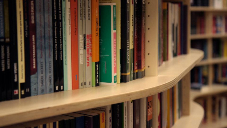 Volume de Andreea Esca, Lucian Boia si Andrei Plesu, printre cele mai furate din librarii in 2014 Imagine