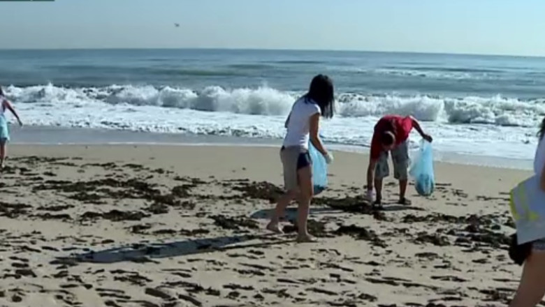 Voluntarii straini au grija de plajele noastre Imagine
