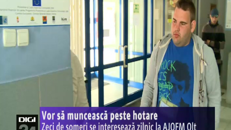 Vor sa munceasca peste hotare. Zeci de someri se intereseaza zilnic la AJOFM Olt de posturi in Danemarca, la cules de mazare Imagine