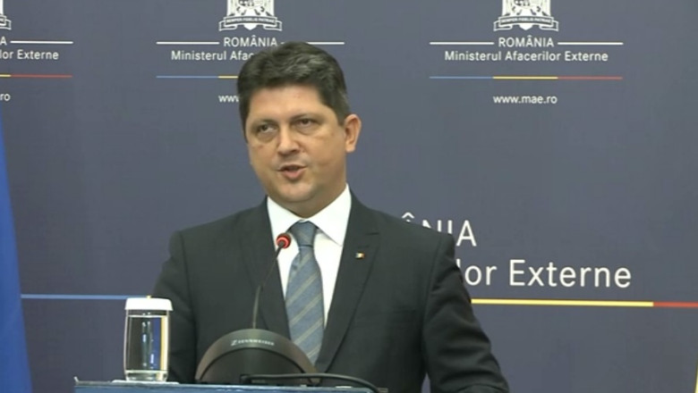 VOT CU SCANDAL IN DIASPORA. Explicatiile lui Titus Corlatean: Au existat agitatori Imagine