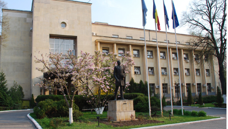 VOT DIASPORA. Ambasadorii din cinci tari, convocati la Ministerul de Externe Imagine