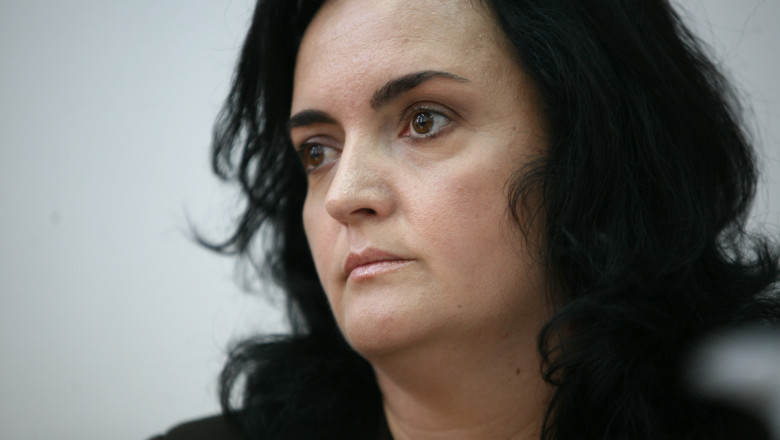 Vot in comisii. Narcisa Iorga, candidatul propus de Presedintie, a primit aviz negativ pentru CNA Imagine