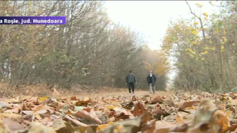 Votul din catune. Oamenii au mers pe jos zeci de kilometri ca sa ajunga la sectiile de votare Imagine