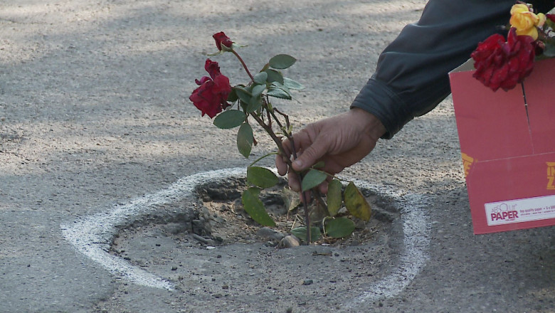 VRANCEA. Flori in gropile din DJ 205 B Imagine