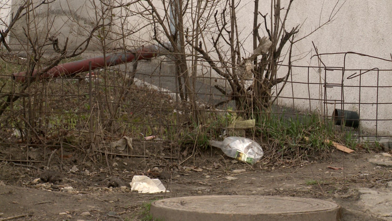 VRANCEA. Terorizati de sobolani Imagine