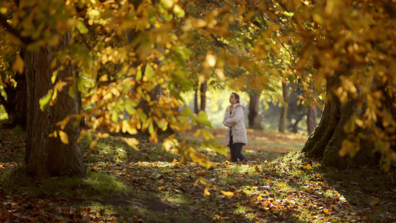 Vreme calda in zilele urmatoare, apoi se raceste in aproape toata tara. Prognoza meteo ANM pentru 2 saptamani Imagine