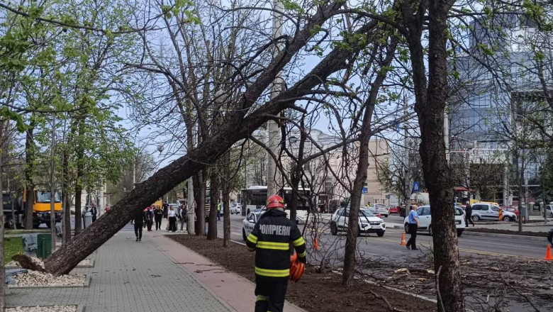 Vreme foarte rece, ploi si vant puternic in Capitala: cum se pregateste Primaria Generala pentru vijeliile asteptate joi in Bucuresti Imagine