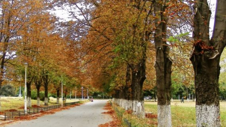 Vremea care contrazice, inca, data din calendar! Prognoza meteo pentru urmatoarele 24 de ore, in vestul tarii Imagine
