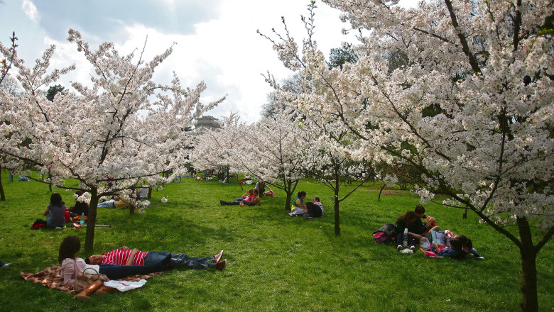 Vremea in urmatoarele patru zile: soare si temperaturi de pana la 19 grade  Imagine