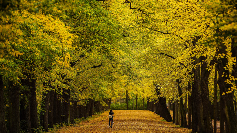 Vremea in weekend: cod galben de vant in sud-est vineri, maxime de 26°C in urmatoarele zile. Detalii de la ANM Imagine