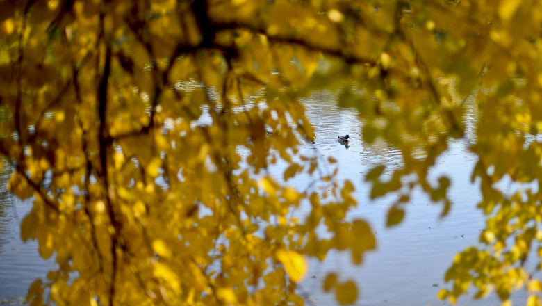 Vremea redevine frumoasa in majoritatea regiunilor Imagine