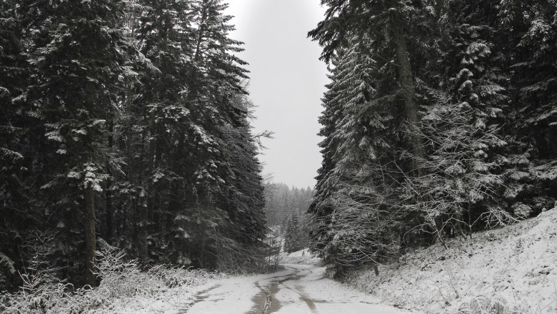 Vremea se schimba radical. Lapovita, ninsori si temperaturi care coboara pana la minus 8 grade in unele zone Imagine