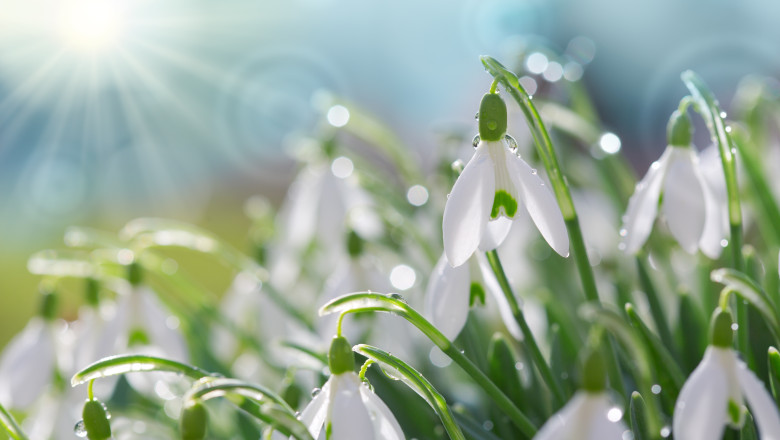 Vremea se schimba radical. Prognoza meteo pana in 23 februarie pentru toate regiunile tarii Imagine