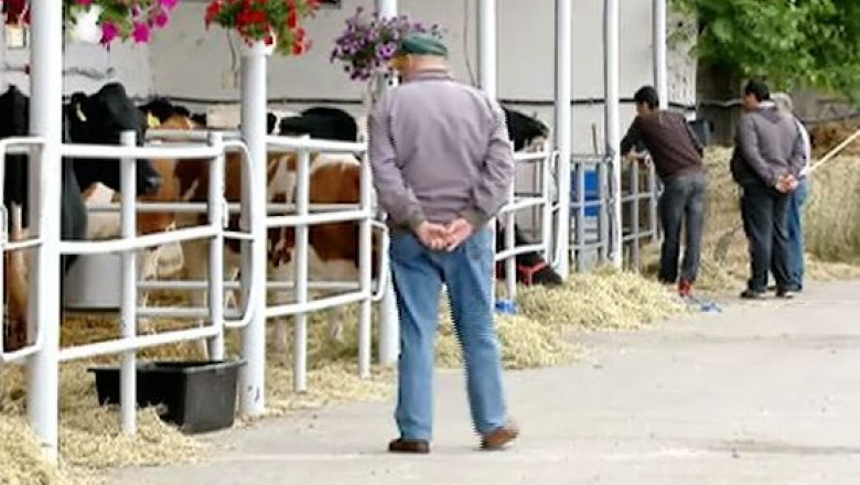 Weekend agricol, la Timisoara Imagine