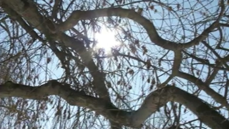 Weekend cu vreme calda si insorita. Temperaturile vor atinge 21 de grade Celsius Imagine