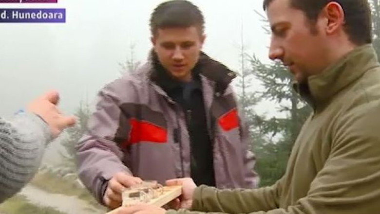 Weekend prelungit pentru distractie Imagine