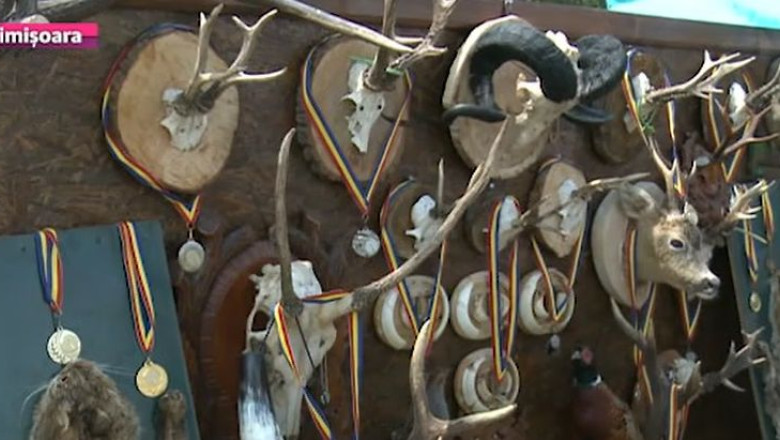 Weekend vanatoresc, la Timisoara Imagine