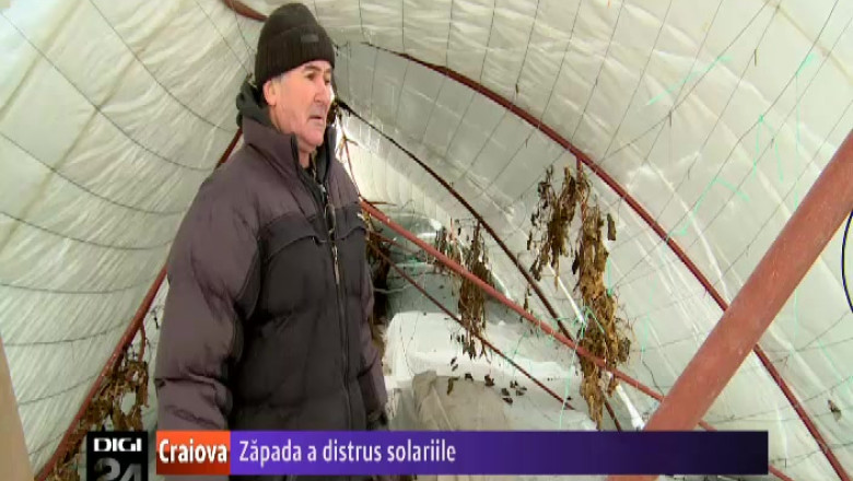 Zapada a distrus sere si solarii in Dolj Imagine