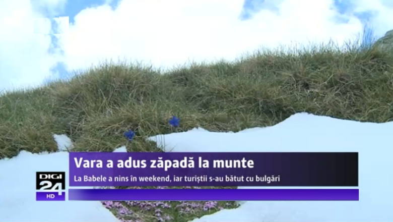 Zapada de vara: De 1 si 2 iunie, in Muntii Bucegi a nins Imagine