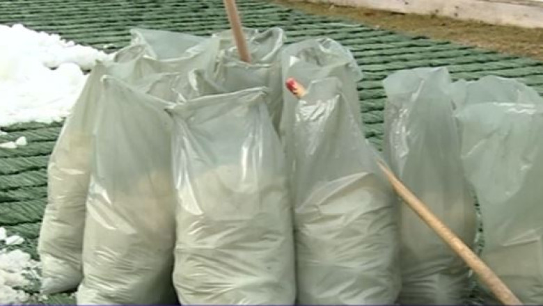 Zapada pentru Cupa mondiala la sarituri cu schiurile, adusa din munti si imprastiata pe trambulina cu sacul Imagine